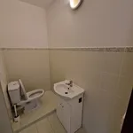 Rent 1 bedroom apartment in Chomutov