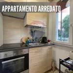 Rent 2 bedroom apartment of 50 m² in Milano