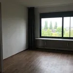 Rent 2 bedroom apartment of 37 m² in amersfoort