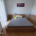 Rent 1 bedroom apartment of 54 m² in Νησί