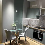 Rent 1 bedroom apartment of 50 m² in Padova