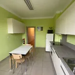 Rent 1 bedroom apartment in Namur