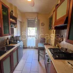 Rent 4 bedroom apartment of 100 m² in Perugia