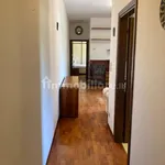 Rent 2 bedroom apartment of 58 m² in Bologna