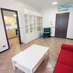 Rent 2 bedroom apartment of 55 m² in Novara