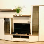 Rent 1 bedroom apartment of 40 m² in Vienna