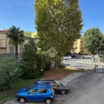 Rent 4 bedroom apartment of 100 m² in Bologna