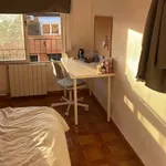 Rent a room in Valencia