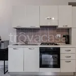 Rent 2 bedroom apartment of 50 m² in Torino