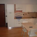 Rent 2 bedroom apartment of 55 m² in Reggio nell'Emilia