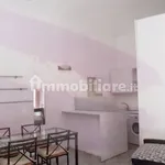 Rent 1 bedroom apartment of 45 m² in Turin