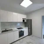 Rent 5 bedroom apartment in Madrid