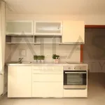 Rent 6 bedroom house of 400 m² in Prague