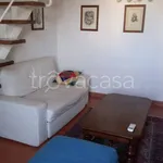 Rent 3 bedroom apartment of 55 m² in Firenze