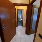 Rent 5 bedroom apartment of 79 m² in Adria