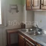 Rent 3 bedroom apartment of 55 m² in Barga