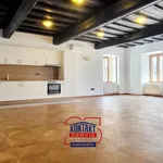 Rent 1 bedroom apartment of 68 m² in České Budějovice