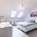 Rent 4 bedroom apartment of 97 m² in prague