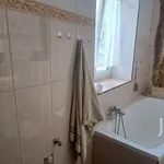 Rent 3 bedroom apartment of 80 m² in Prague