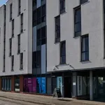 Rent 1 bedroom apartment in Coventry