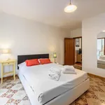 Rent 1 bedroom apartment in Florence