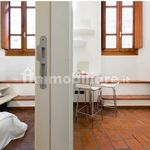 Rent 2 bedroom apartment of 50 m² in Bologna