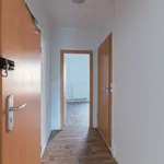 Rent 2 bedroom apartment of 53 m² in Großschirma