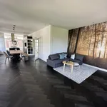 Rent 4 bedroom apartment of 138 m² in Middelland