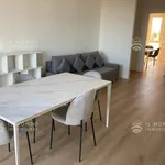 Rent 1 bedroom apartment of 94 m² in Seregno