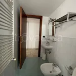 Rent 4 bedroom apartment of 90 m² in Brindisi