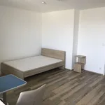 Miete 1 Schlafzimmer wohnung von 30 m² in Frankfurt