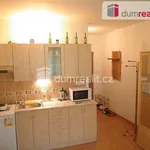 Rent 1 bedroom apartment of 21 m² in Jáchymov