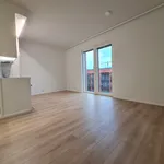 Rent 1 bedroom apartment of 27 m² in Turku