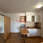 Rent 1 bedroom apartment in Capital City of Prague