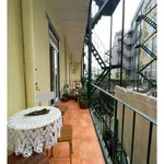 Rent a room in lisbon