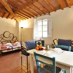 Rent 1 bedroom apartment of 35 m² in Florence