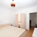 Rent 2 bedroom apartment of 54 m² in Timișoara