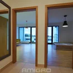 Rent 2 bedroom apartment in Brno