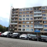 Pronájem bytu 3+1 75m²