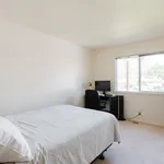 Rent 1 bedroom apartment in San Jose