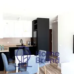 Rent 2 bedroom apartment of 39 m² in Wrocław