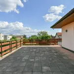 Rent 7 bedroom house of 450 m² in Capital City of Prague