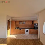 Rent 3 bedroom apartment of 100 m² in Brno - Kohoutovice