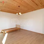 Rent 7 bedroom house in Hradešín