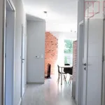 Rent 4 bedroom apartment of 70 m² in Goleniów