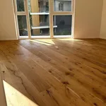 Pronajměte si 2 ložnic/e byt o rozloze 48 m² v Trhový Štěpánov