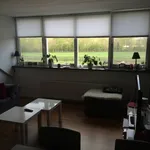 Huur 1 slaapkamer appartement van 42 m² in Harskamp