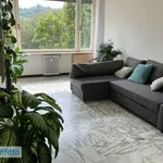 Rent 3 bedroom apartment of 80 m² in Turin