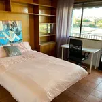 Rent a room in madrid