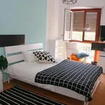 Rent a room in turin